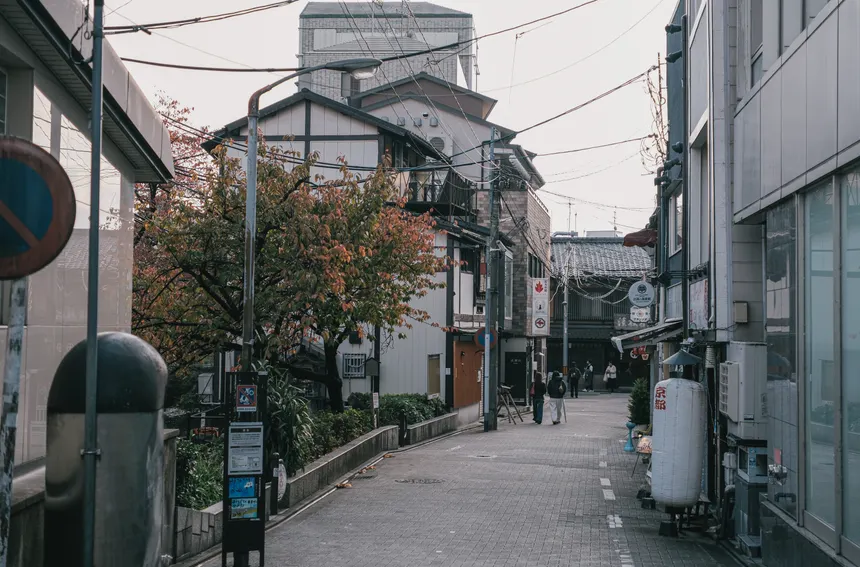 Charming alleyway with traditional Japanese houses and autumn foliage.