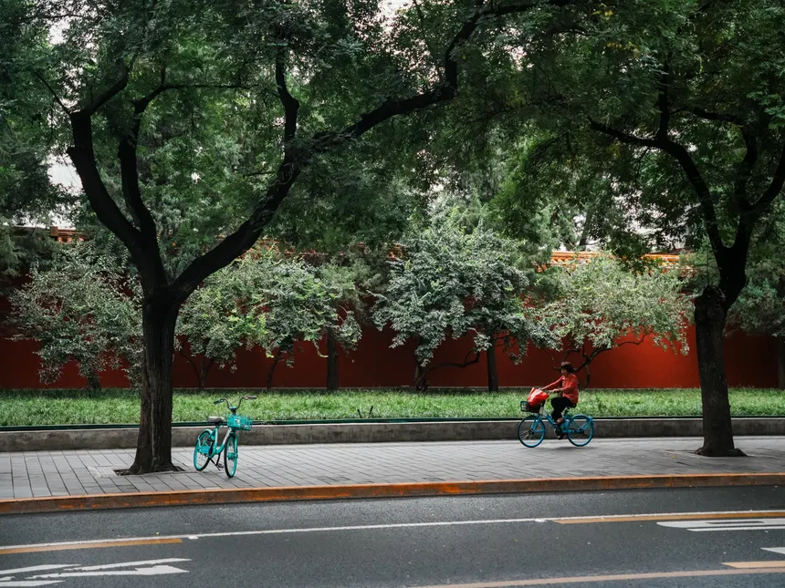 A peaceful urban street scene featuring a bicyclist and vibrant trees in Beijing, China.